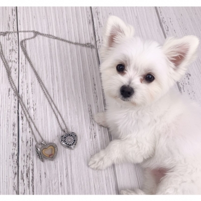 寵物純銀心型項鍊.jpg 寵物純銀心型項鍊.jpg