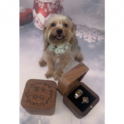 寵物戒子QQ.jpg 寵物戒子QQ.jpg